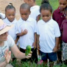Captain Planet. Photo: Captain Planet Foundation.