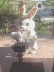 Pierce hugs bunny. Credit: Marie Mower