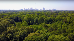 The forest canopy of Atlanta with Ormewood Forest in the foreground. Photo by Benjamin Gravitt