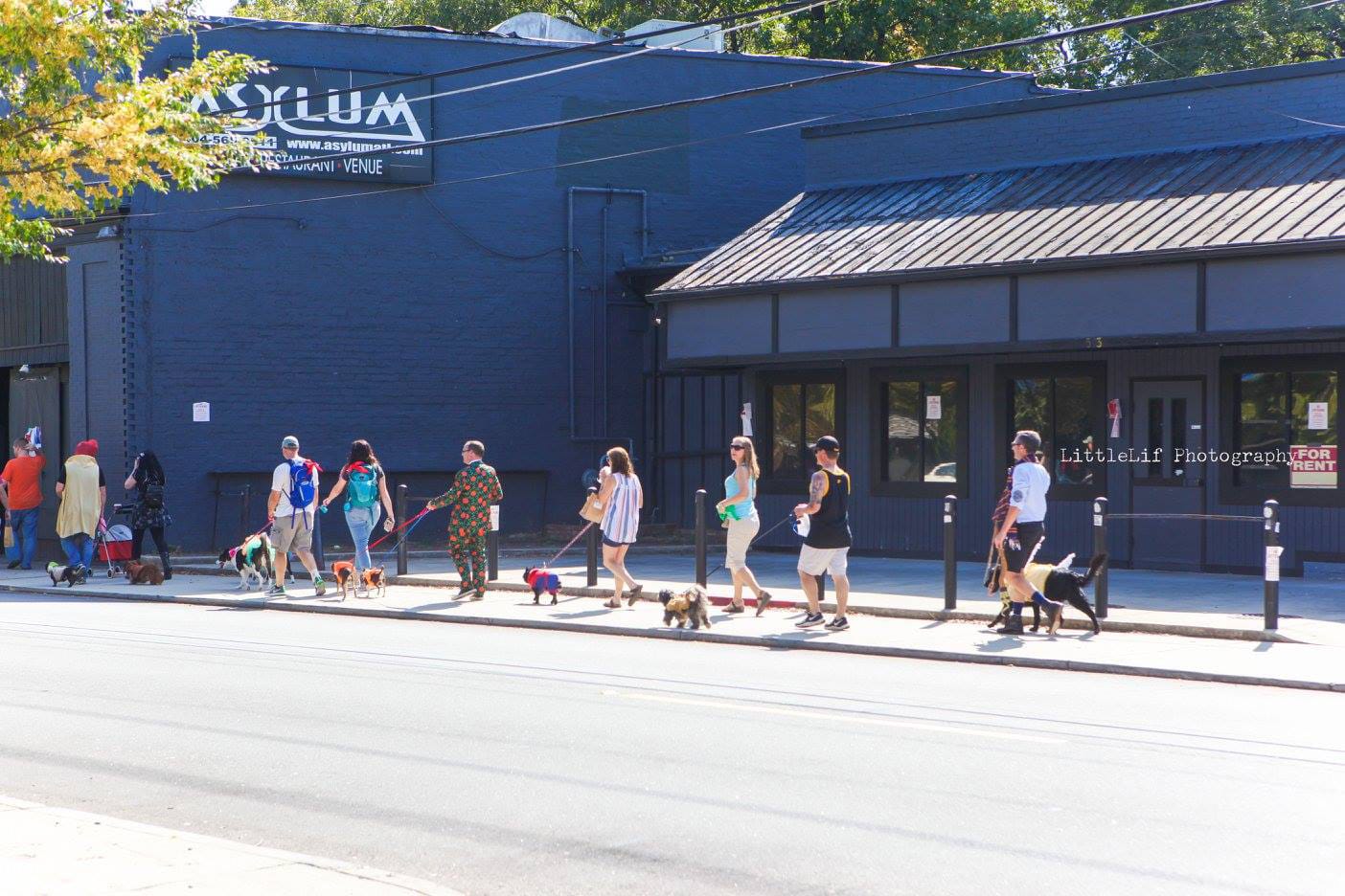 Pups on Parade through the EAV. Photo by LittleLif Photography
